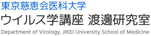 東京慈恵会医科大学 ウィルス学講座 渡邊研究室