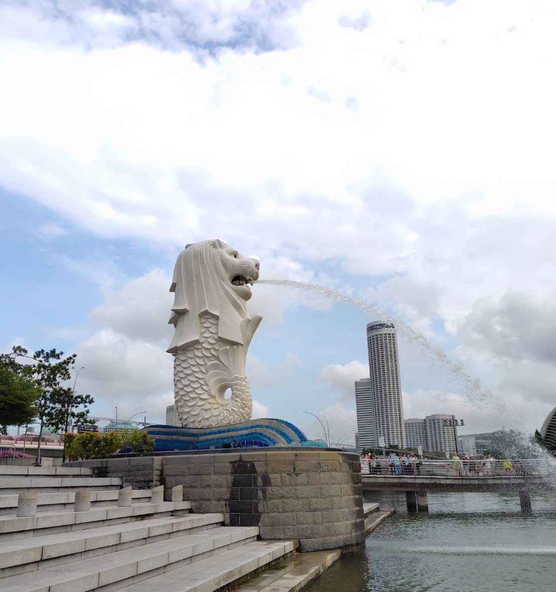 8TH ISIRV-AVG MEETING  & 3RD IMRP 2025