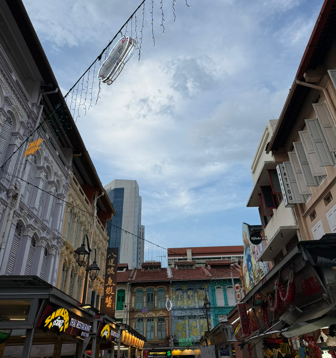 8TH ISIRV-AVG MEETING  & 3RD IMRP 2025