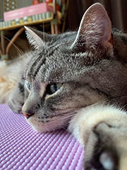 石井 梓 Azusa Ishii